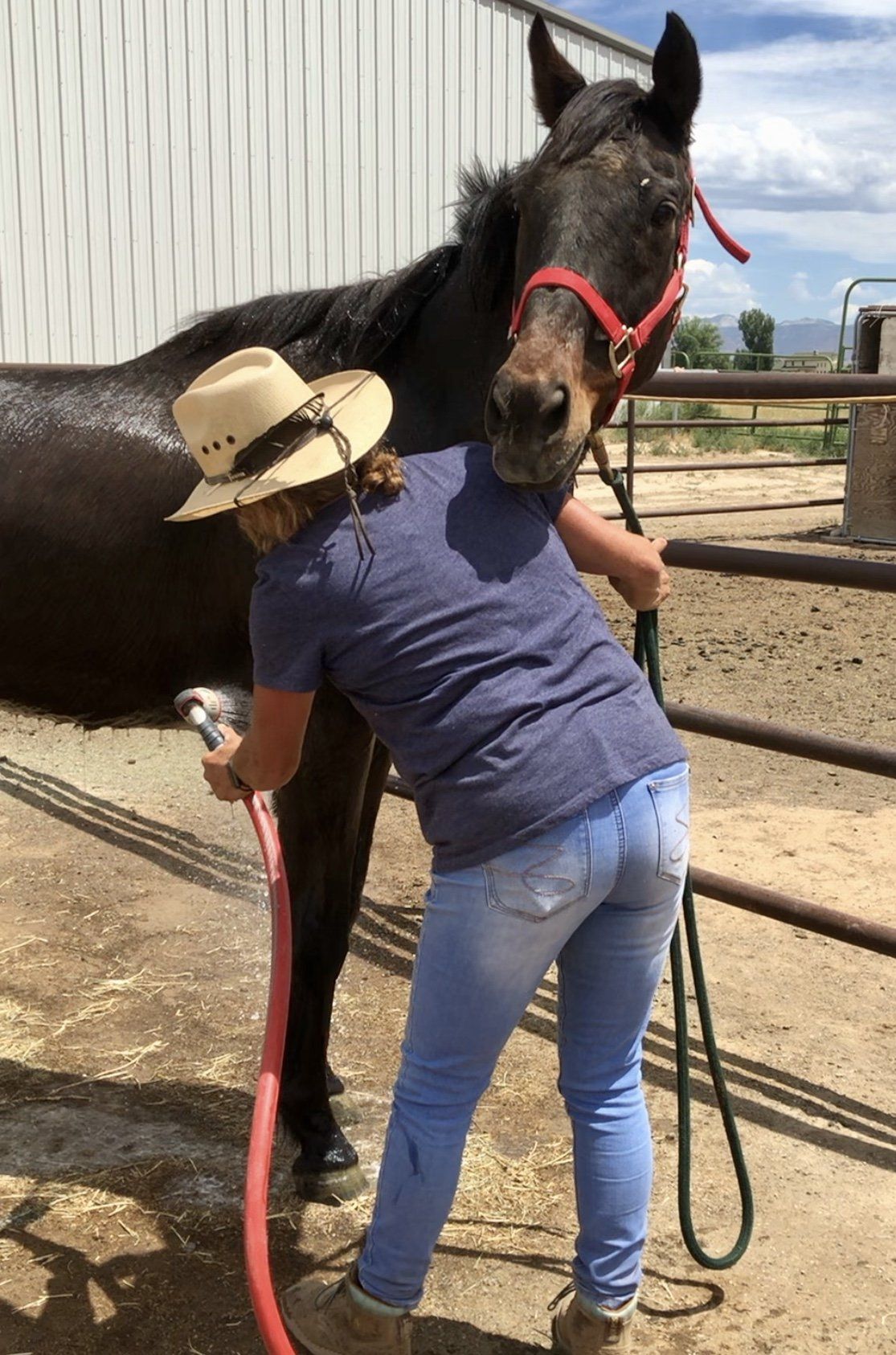 Equine Therapy | Grand Junction, CO