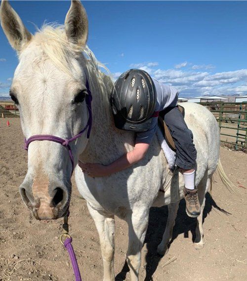 Kid Riding A Horse — Fruita, CO — Harmony Acres Equestrian Center