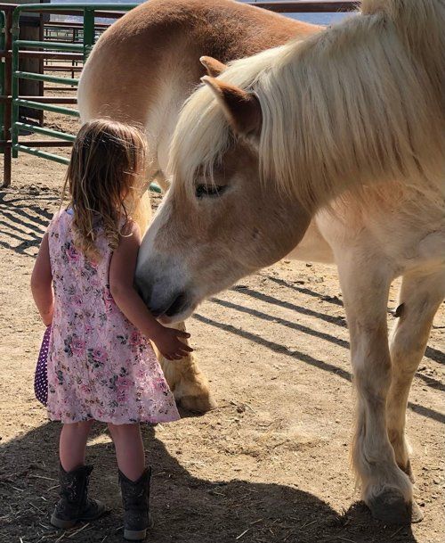 Whimsical Playing With A Kid — Fruita, CO — Harmony Acres Equestrian Center