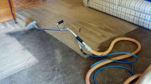 Carpet Care — Using Vacuum on Carpet in Gainesville, FL