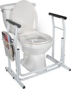 Free Standing Toilet Safety Rail