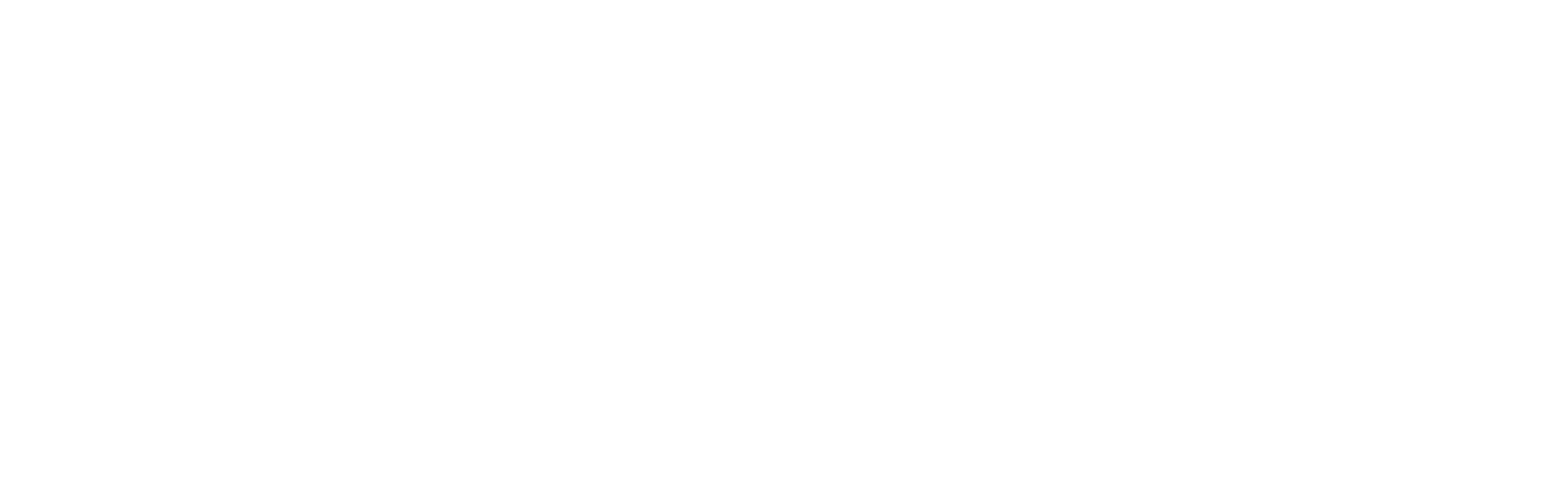 Somers Consultants LLC Logo