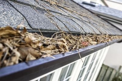 Fascia & Gutter Cleaning