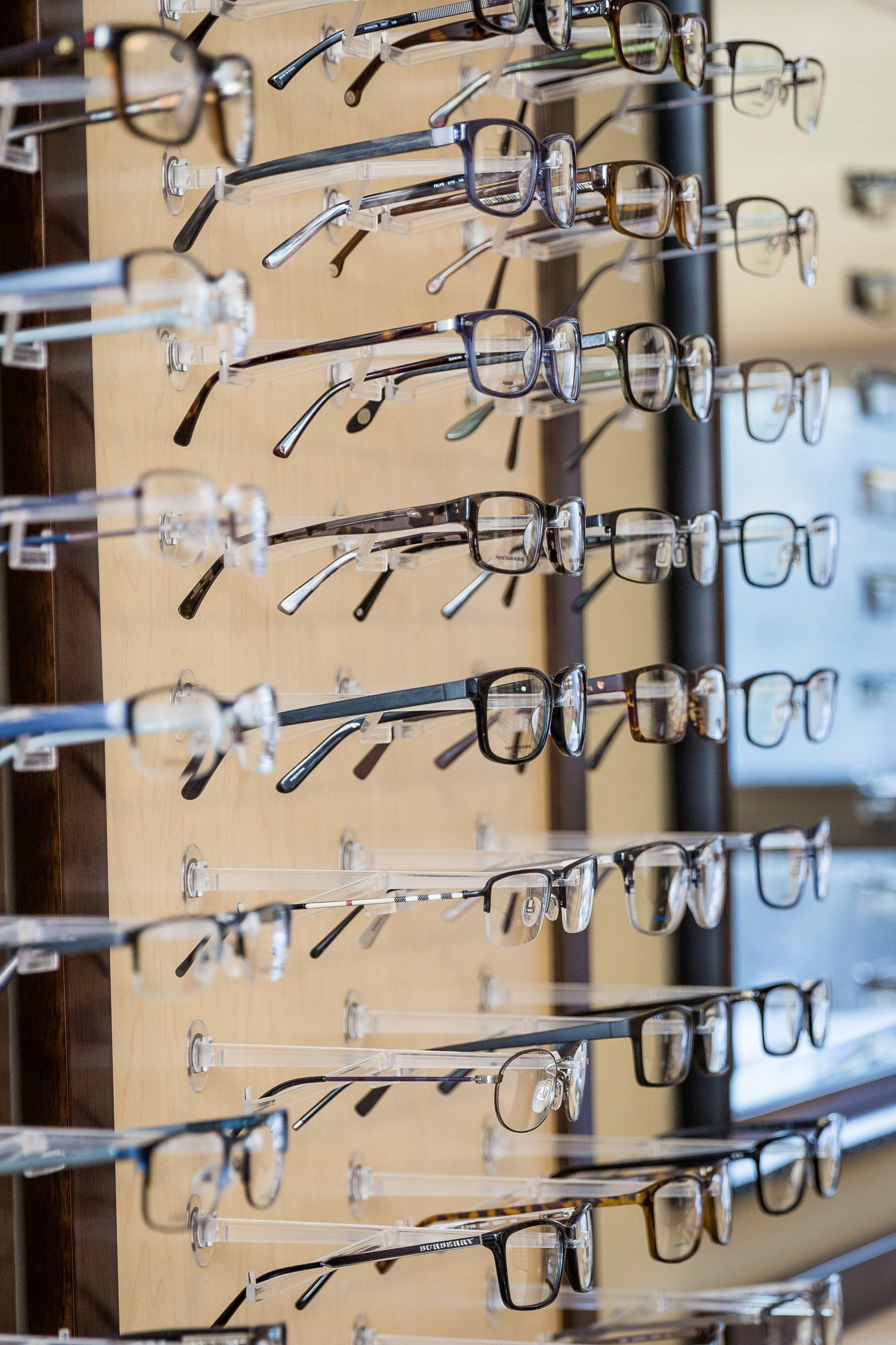 A row of glasses hanging on a wall in an optical shop.