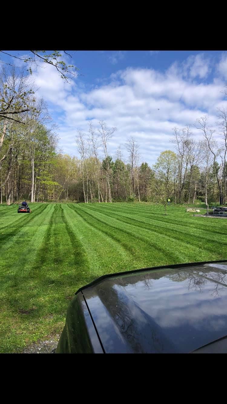 Lawnmower cutting fresh stripes in a green lawn on a sunny day. Trees in the background.
