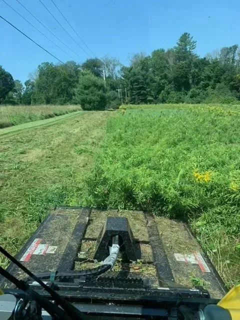 Mower cutting tall grass in a field, with a half-cut path. Trees and a blue sky in the background.