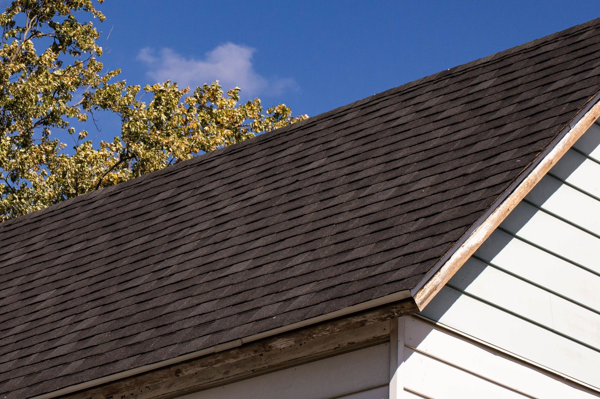 Dark asphalt shingle roof on a house, with a light-colored wood trim and white siding, against a blue sky with tree foliage.