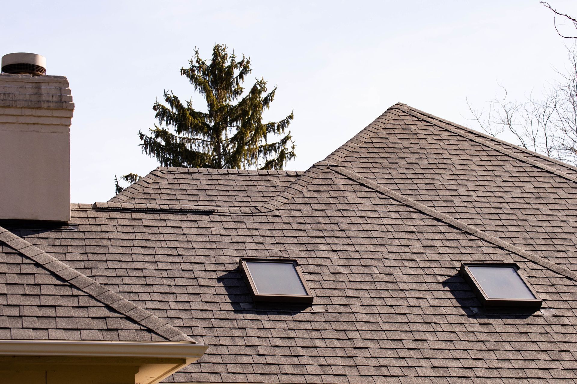 Roof of a house with two skylights and a chimney, with a tree in the background.