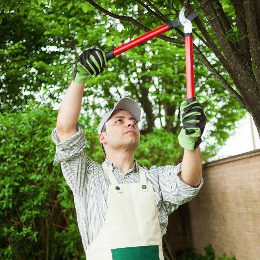 tree pruning