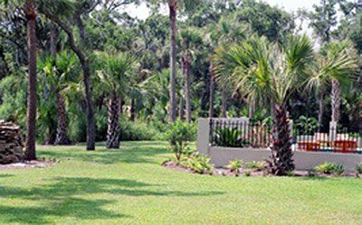 Landscape Maintenance Service — Front View Landscape with Tropical Trees in Savannah, GA