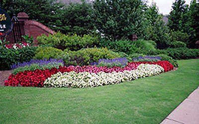 Landscape Installation — Planted Brighten Red flowers in Savannah, GA