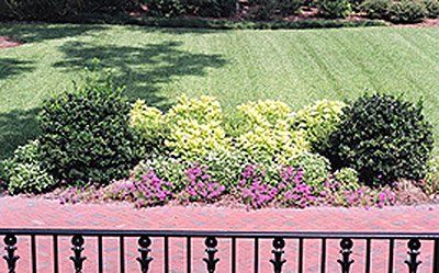 Landscape Installation — Front View Landscape with Planted Brighten flowers in Savannah, GA