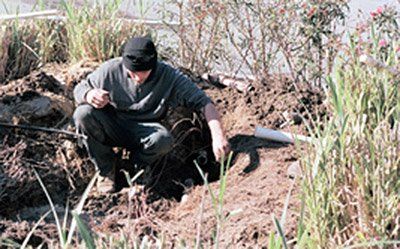 Tree Maintenance Services — Soil Digging in Savannah, GA