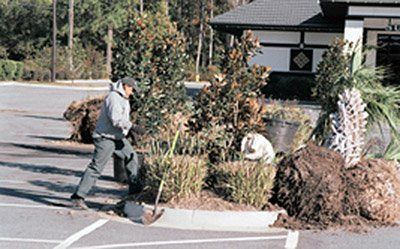Tree Maintenance Services — Two Men Cutting Trees close up in Savannah, GA