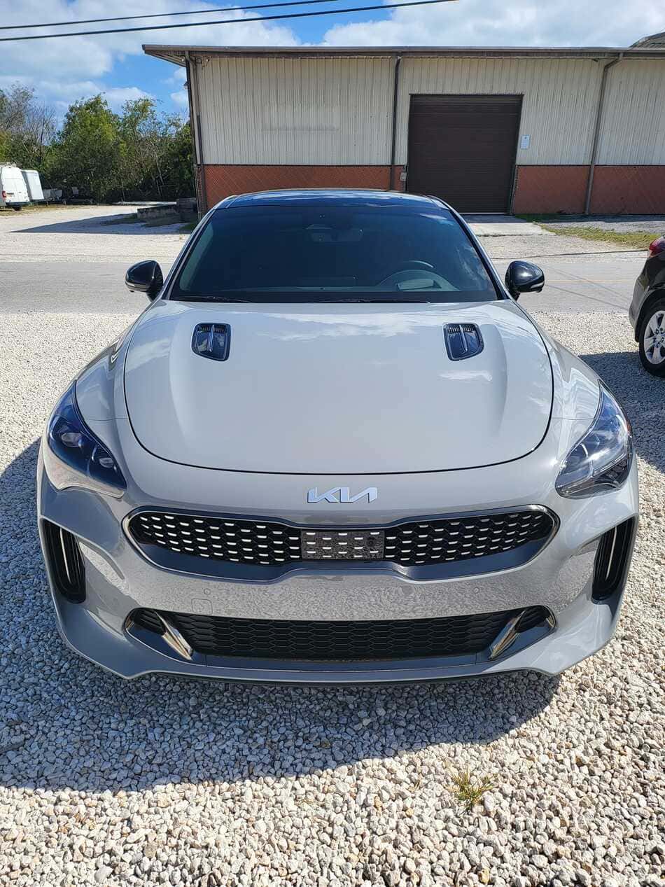 Gloss and Matte PPF Series