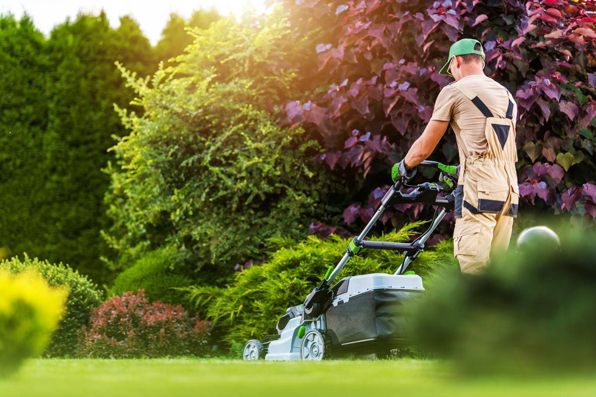 A man uses a lawn mower to cut grass, representing quality lawn mowing services in Clayton, NJ.