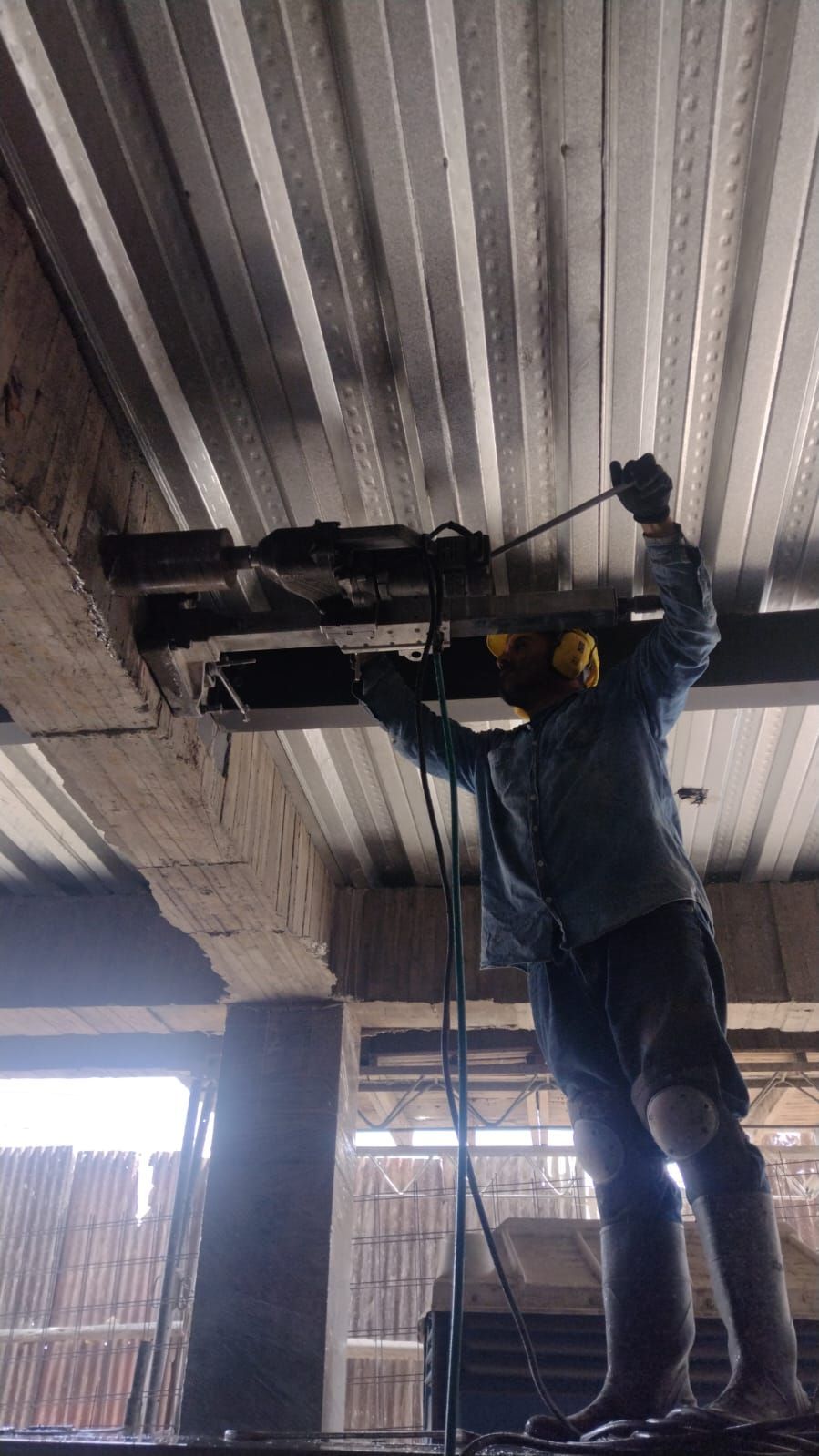 Núcleos y Cortes A y M