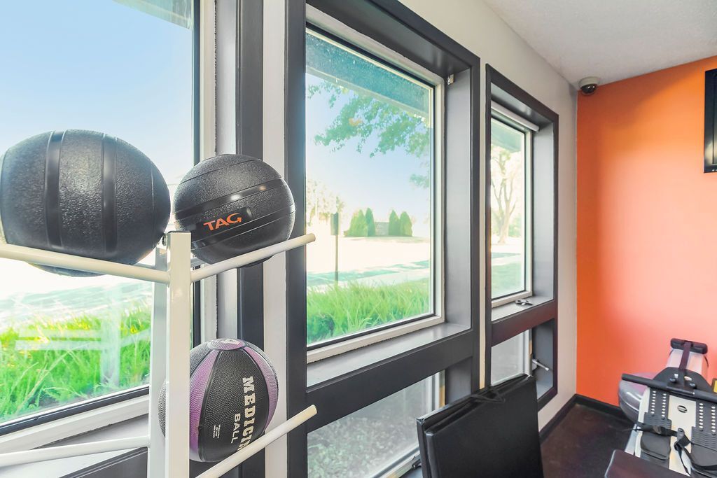 Gym interior with medicine balls on a rack, windows overlooking greenery, and orange wall.