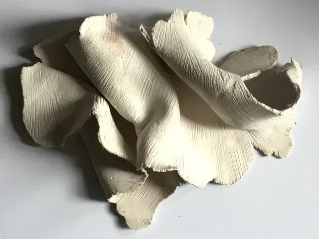 David Booth, David Booth Artist, David Booth MRSS, David, Booth, db, David Booth