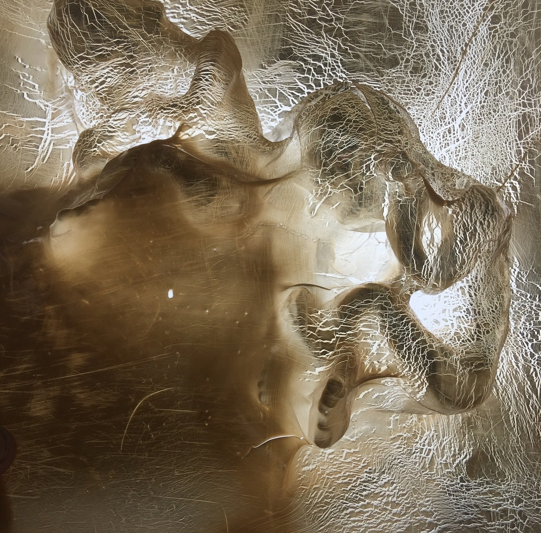 David Booth MRSS  photography  twin