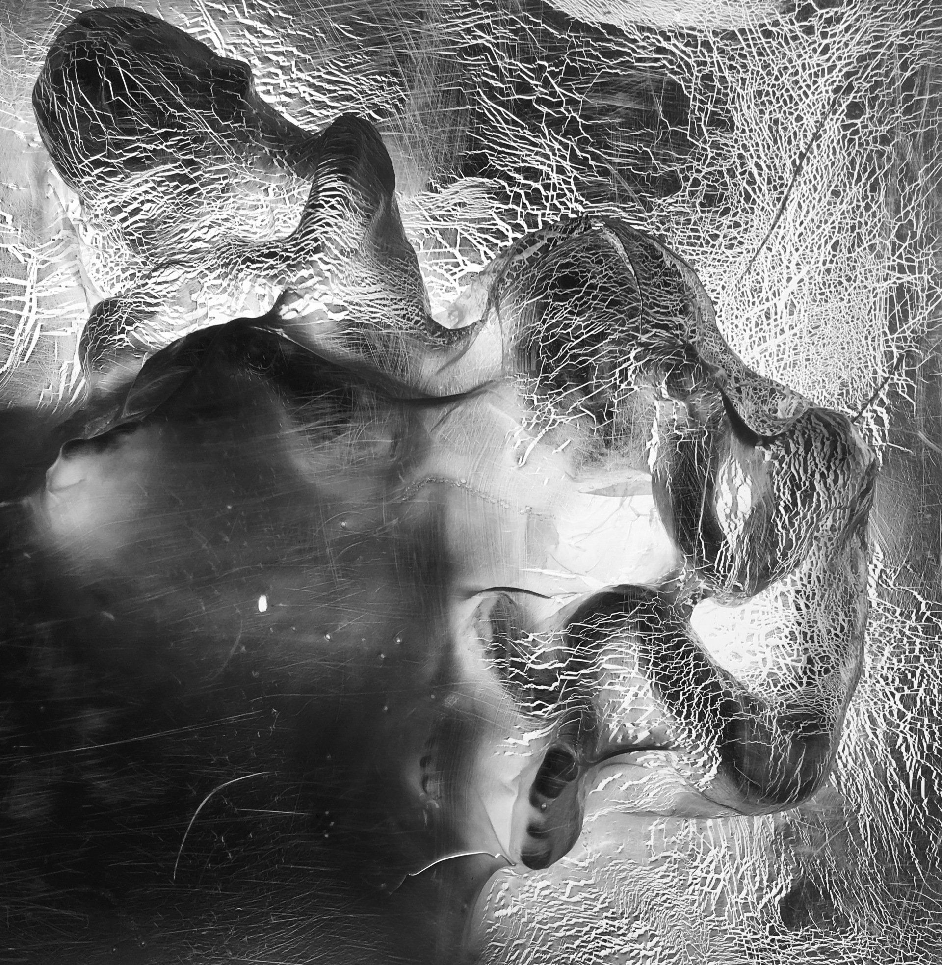 David Booth, photography, baby, twin