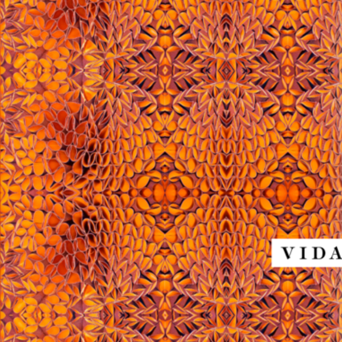 collaborative, David Booth, vida