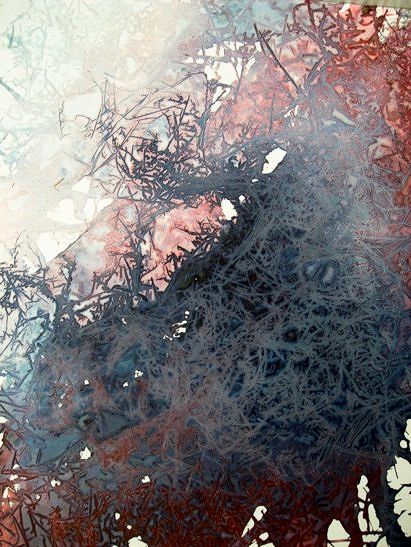 David Booth, MRSS, painting, photography