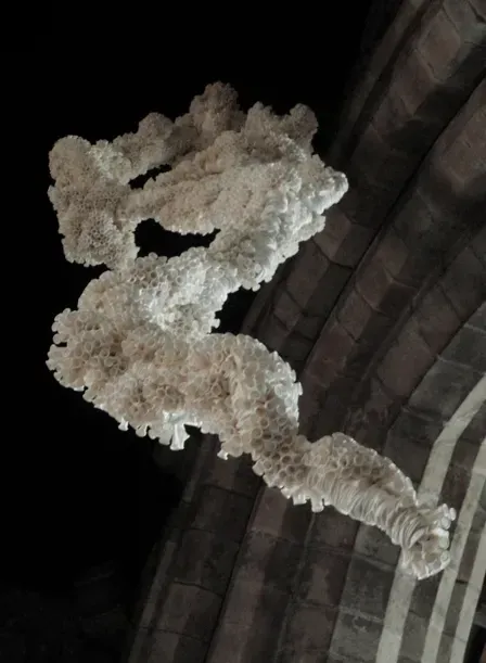 David Booth, David Booth Artist, David Booth MRSS, David, Booth, db, David Booth, balloons