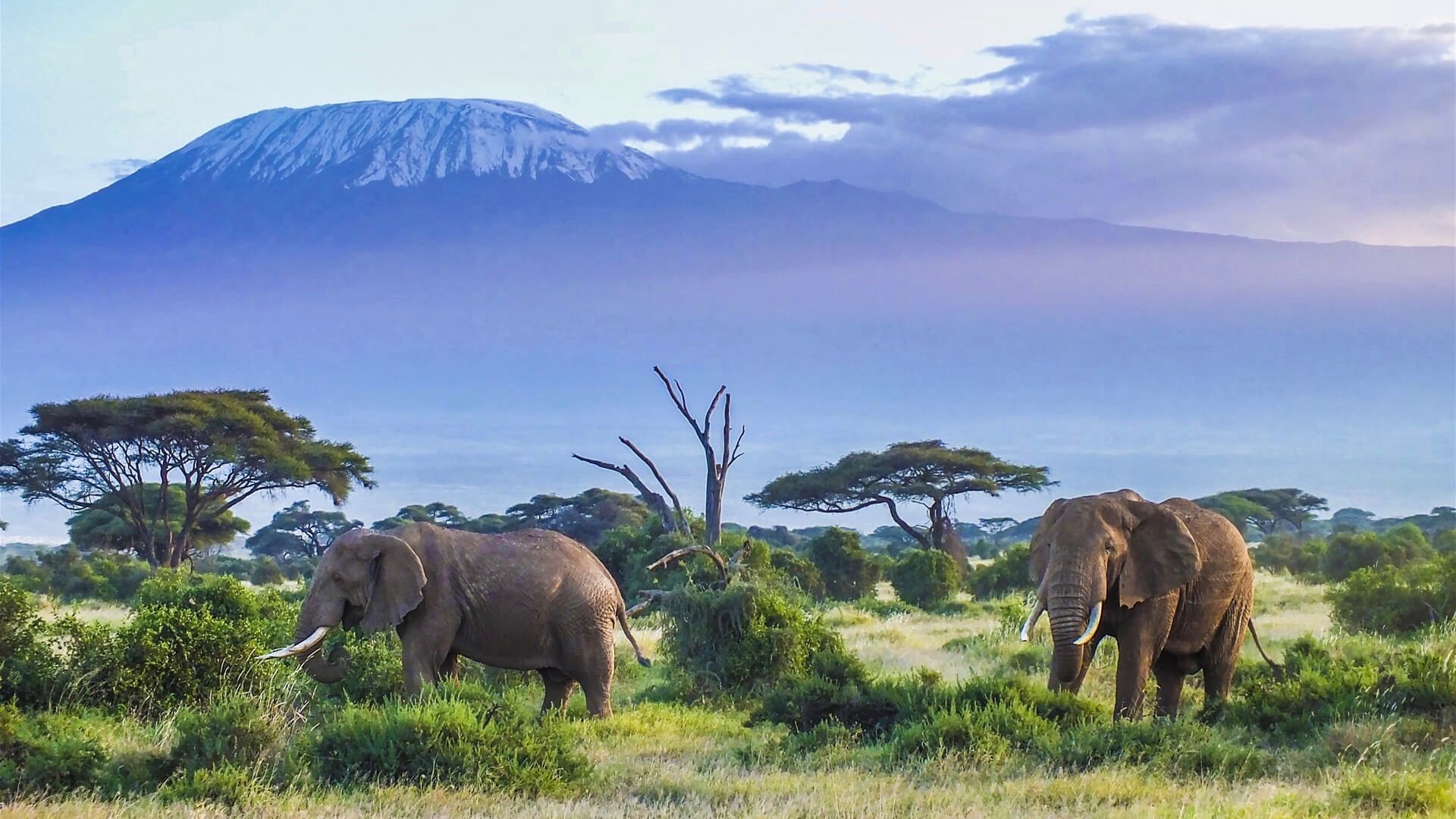 Sarova Panafric Hotel Accommodation Best of East Africa Safari