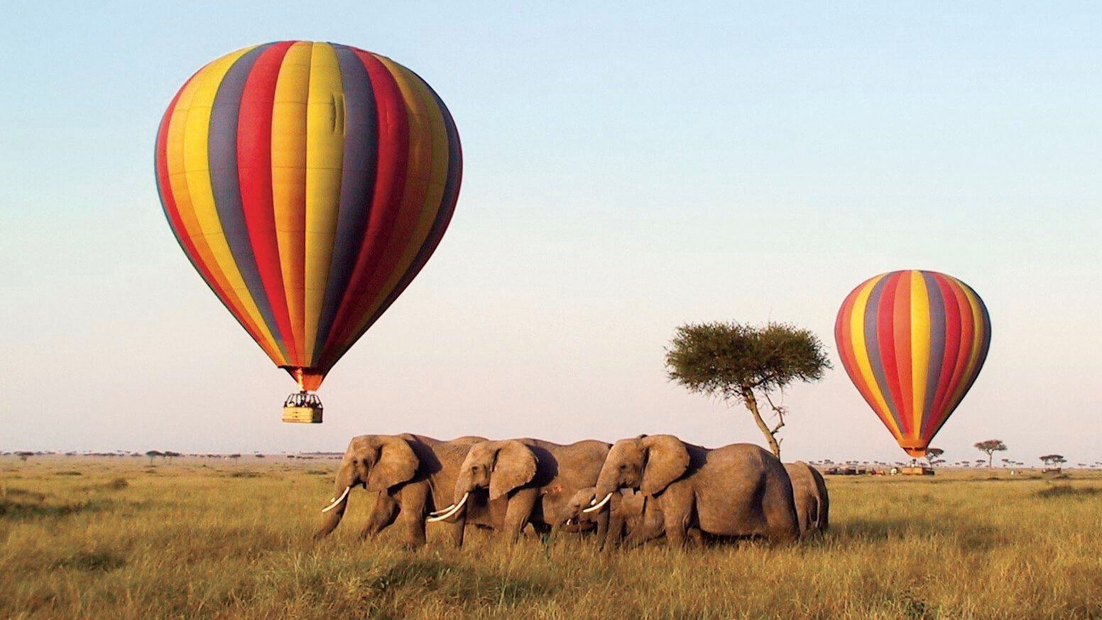 Hot Air Balloon Safari Kenya by Predators Safari Club
