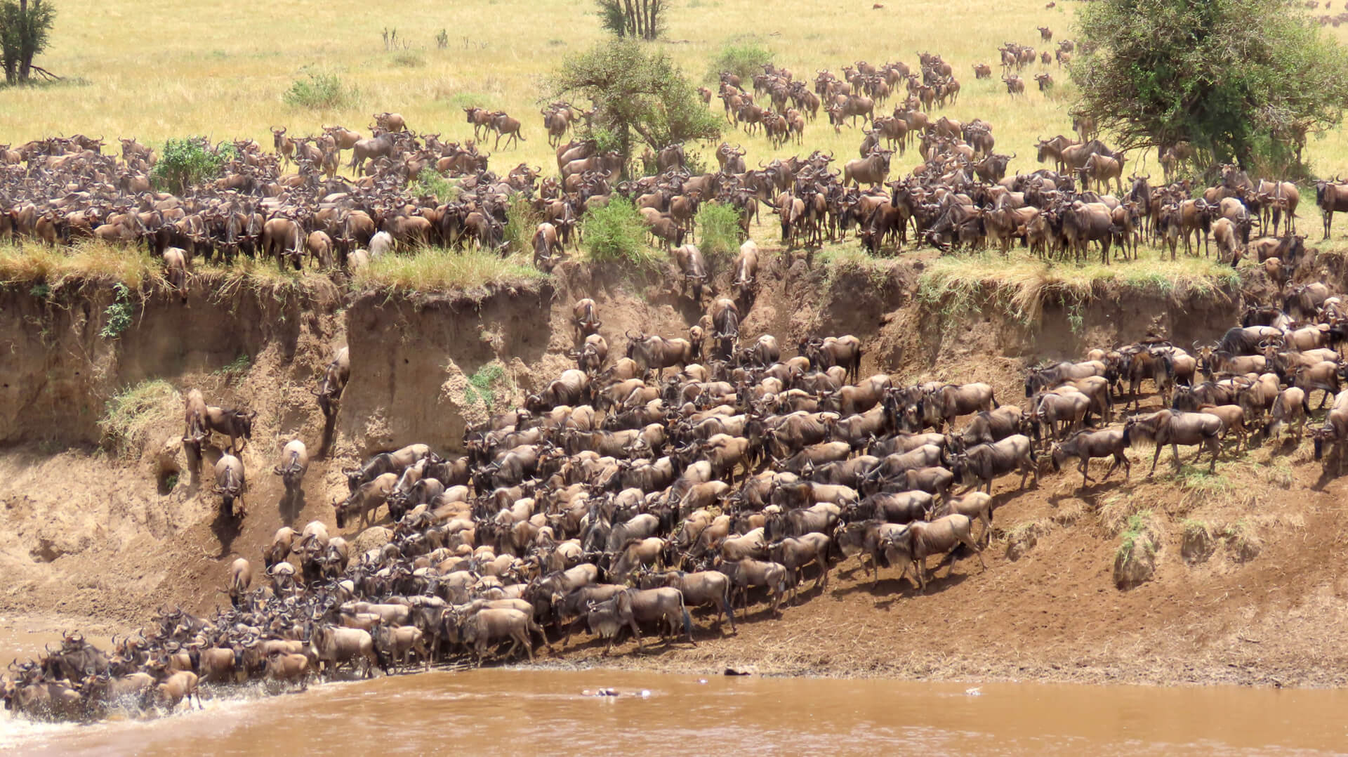 Greater Masai Mara - Southern Circuit Kenya