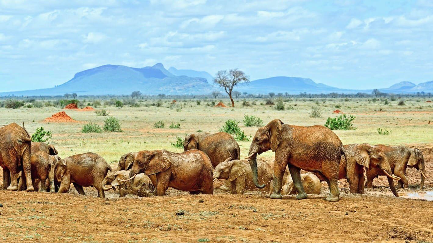 Tsavo East National Park - Southern Circuit Kenya