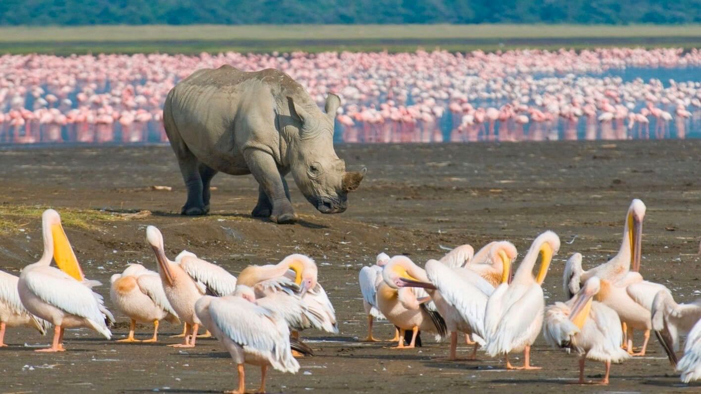 Lake Nakuru National Park - Southern Circuit Kenya