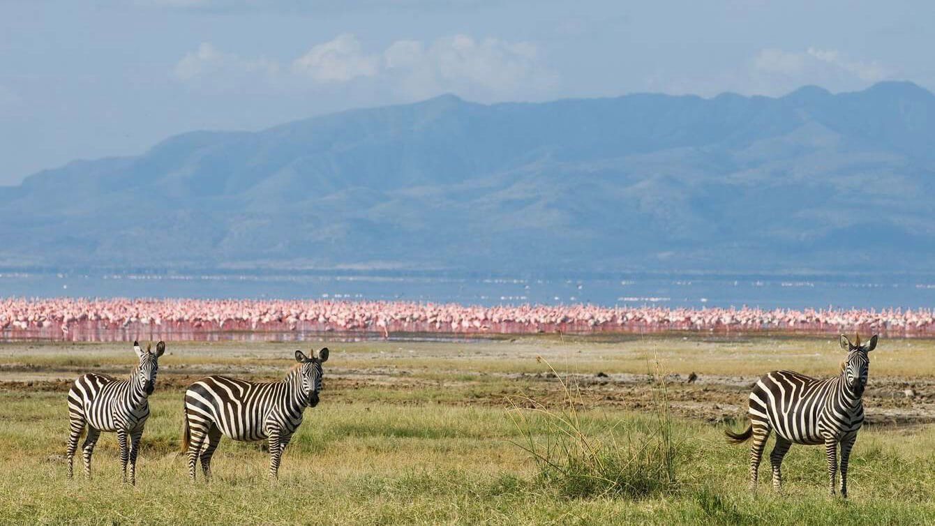 Lake Naivasha Sopa Lodge Accommodation Best of East Africa Safari