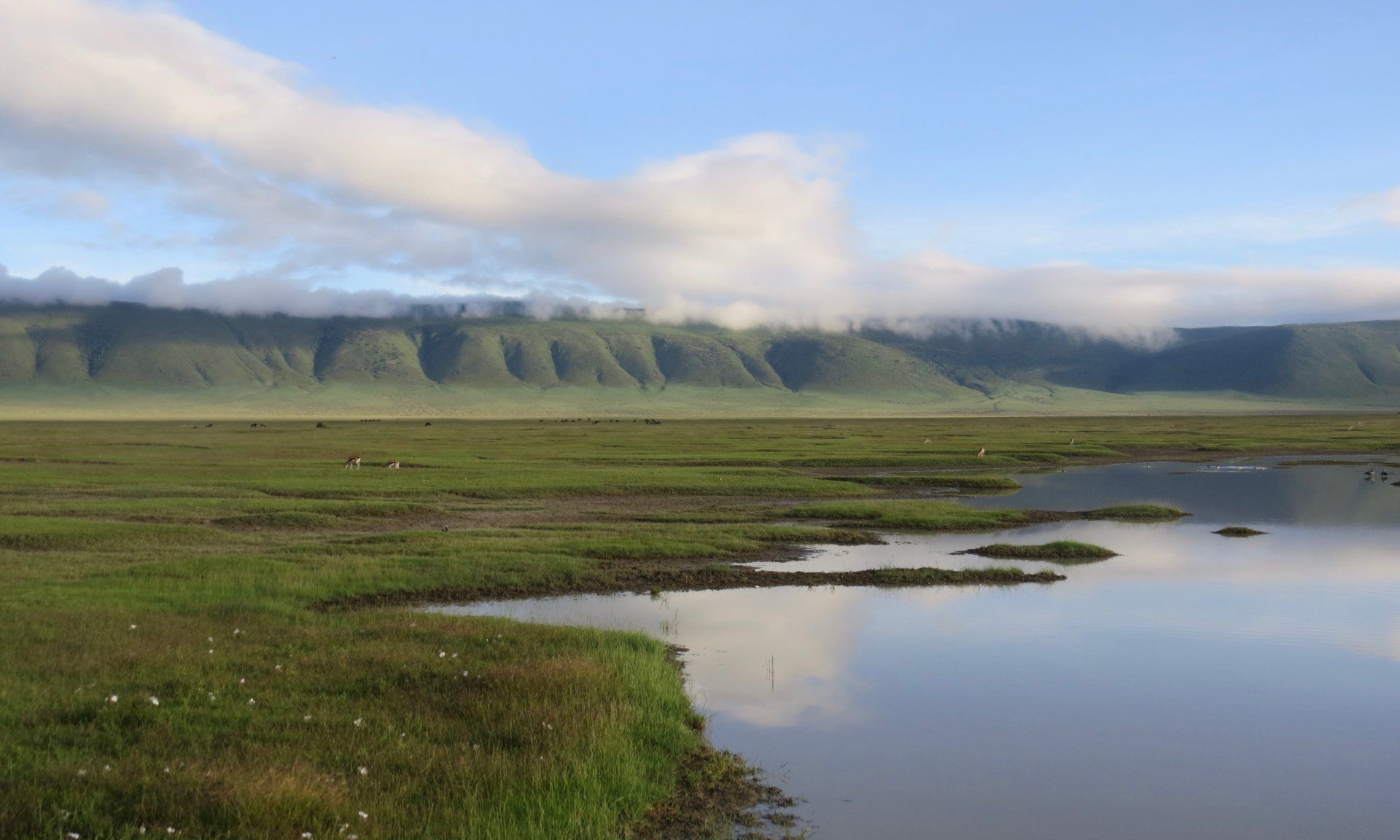 Ngorongoro Crater and Conservation Area - Tanzania Northern Circuit