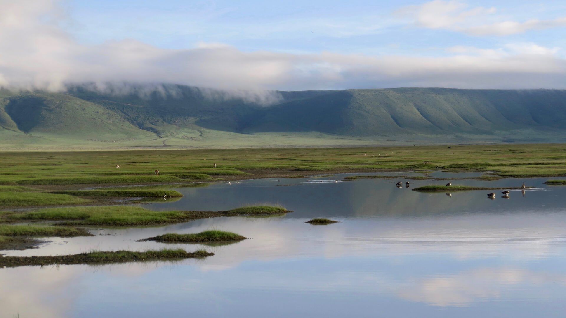 Ngorongoro Serena Safari Lodge  Accommodation Tanzania Deluxe Safari