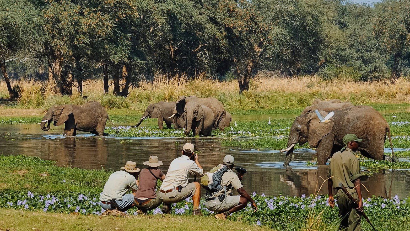 Walking Safari Tanzania - Predators Safari Club
