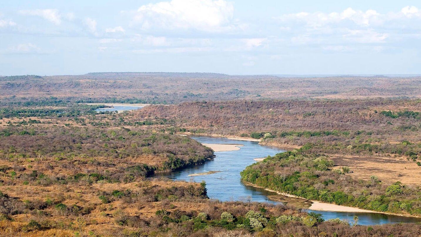Harbour View Hotel Accommodation African Wild Dog Safari