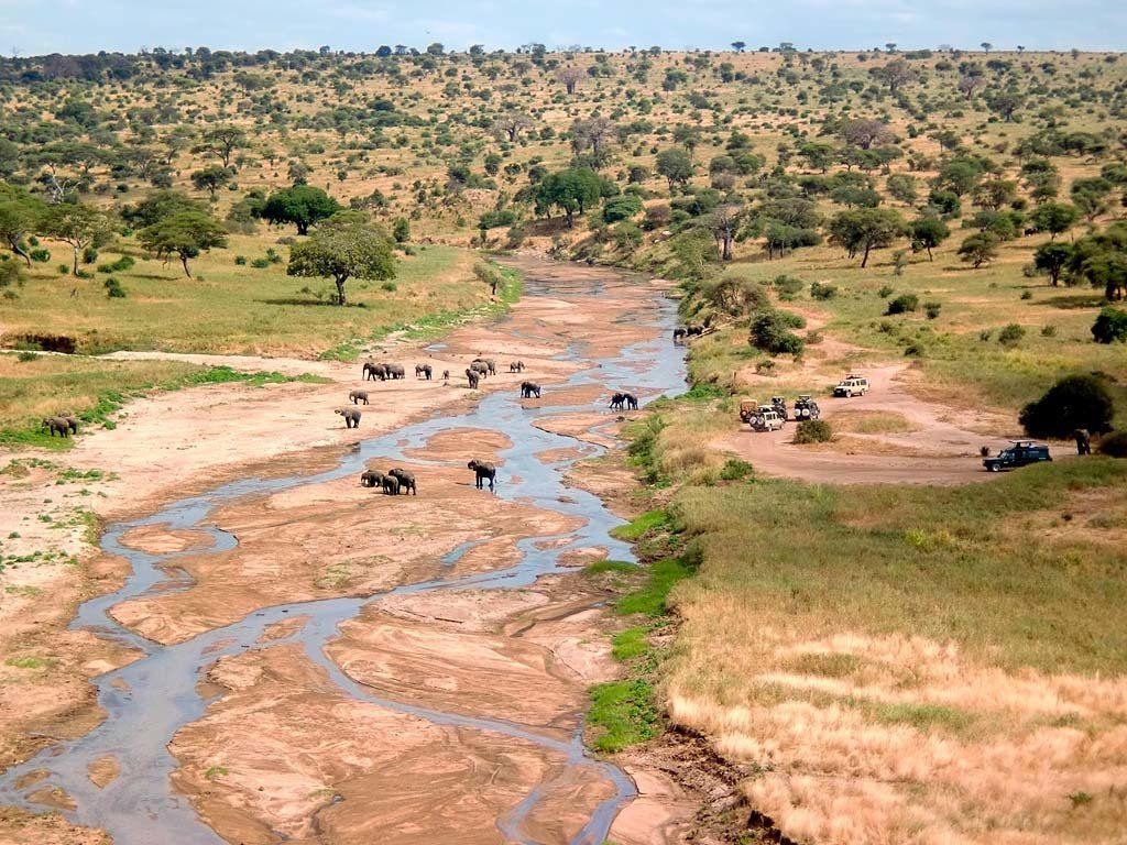Tarangire National Park - Northern Circuit Tanzania