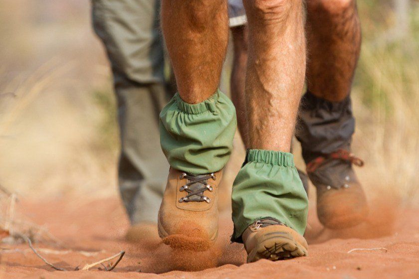 WALKING SAFARIS - Predators Safari Club