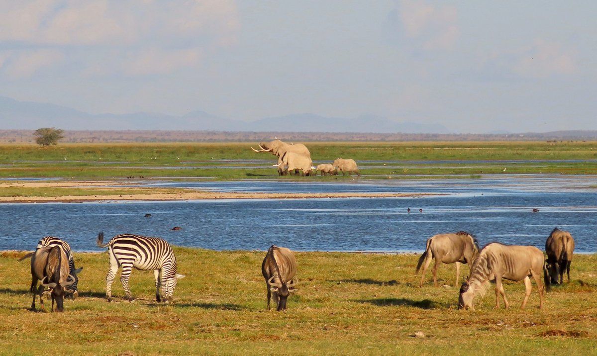 Amboselli National Park