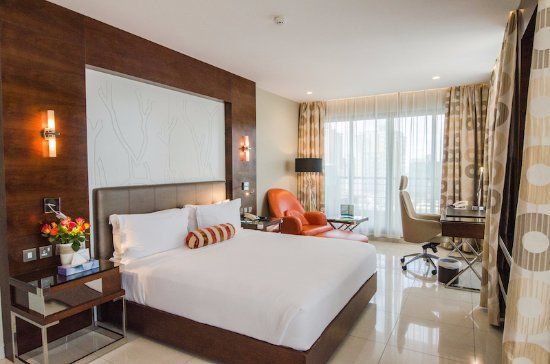 Harbour View Hotel Accommodation African Wild Dog Safari