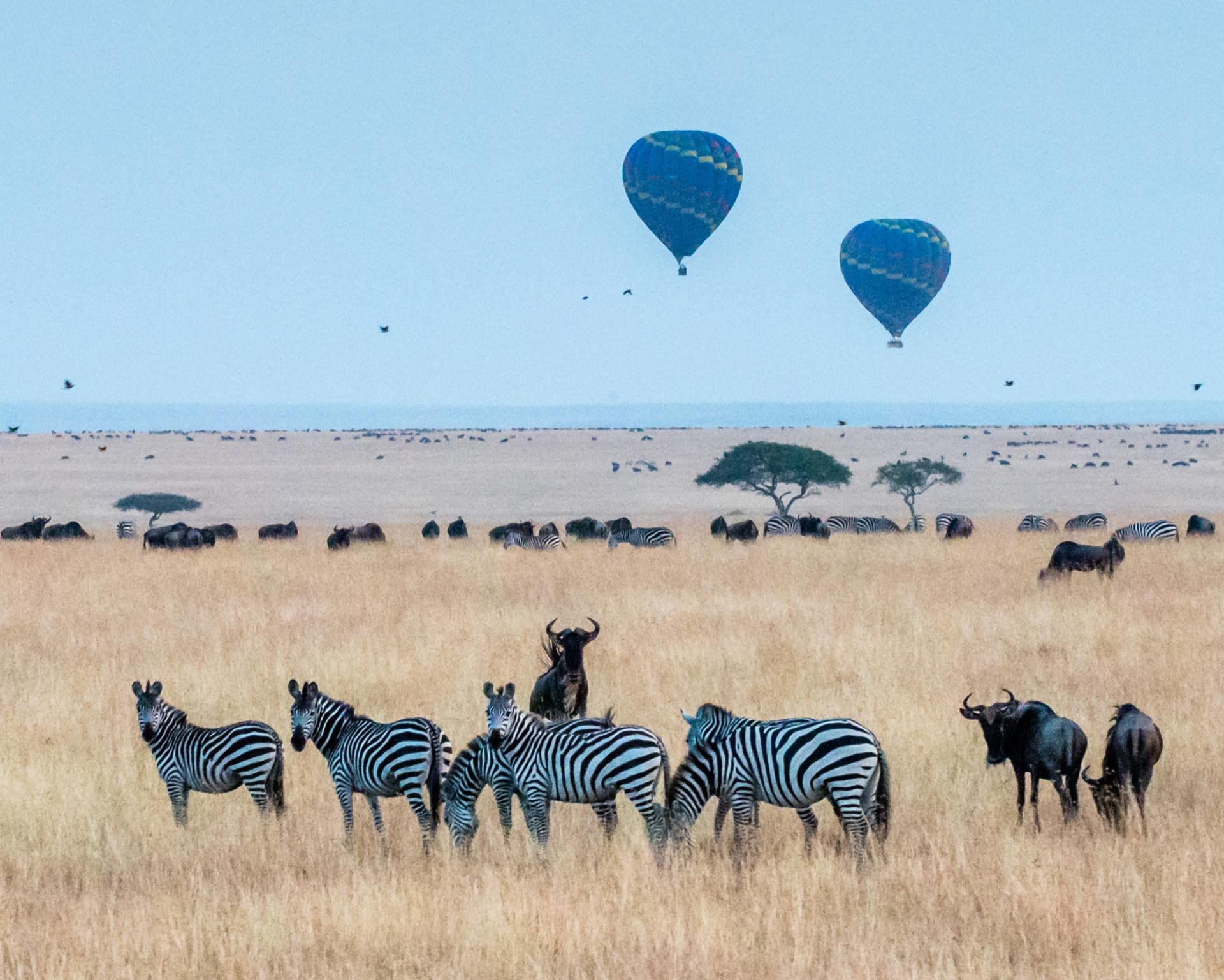 Hot Air Balloon - Kenya Attraction and Highlight - Predators Safari Club