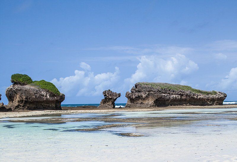 Watamu Marine Marine Park - Kenya Attraction & Highlight - Predators Safari Club