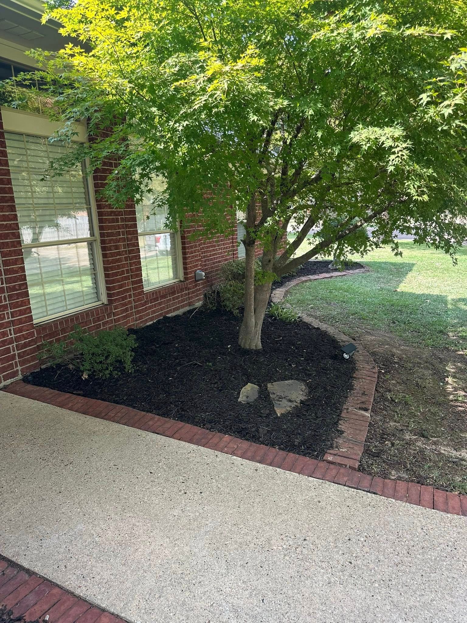 A close up of a lush green lawn with trees in the background.
