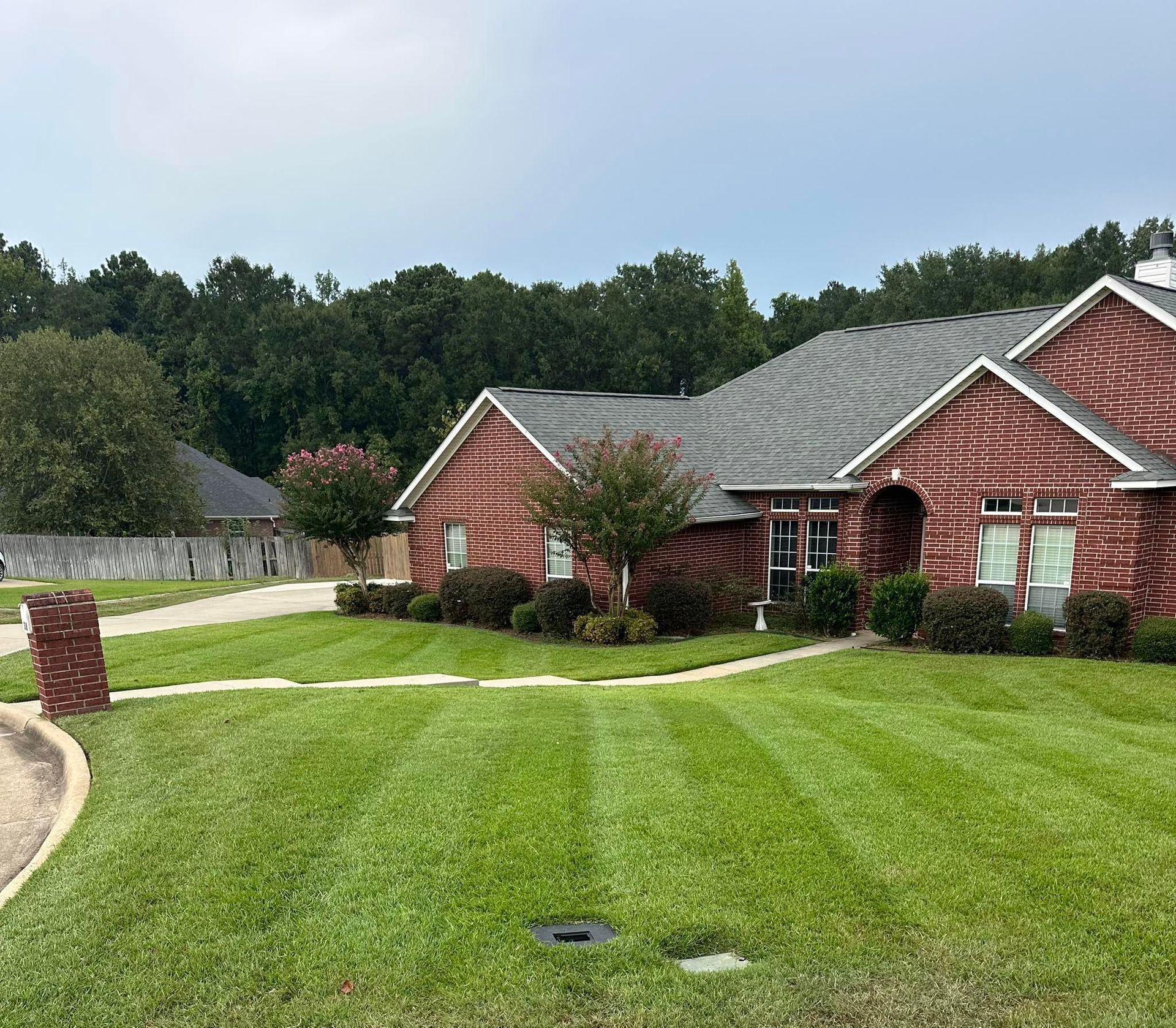 A close up of a lush green lawn with trees in the background.