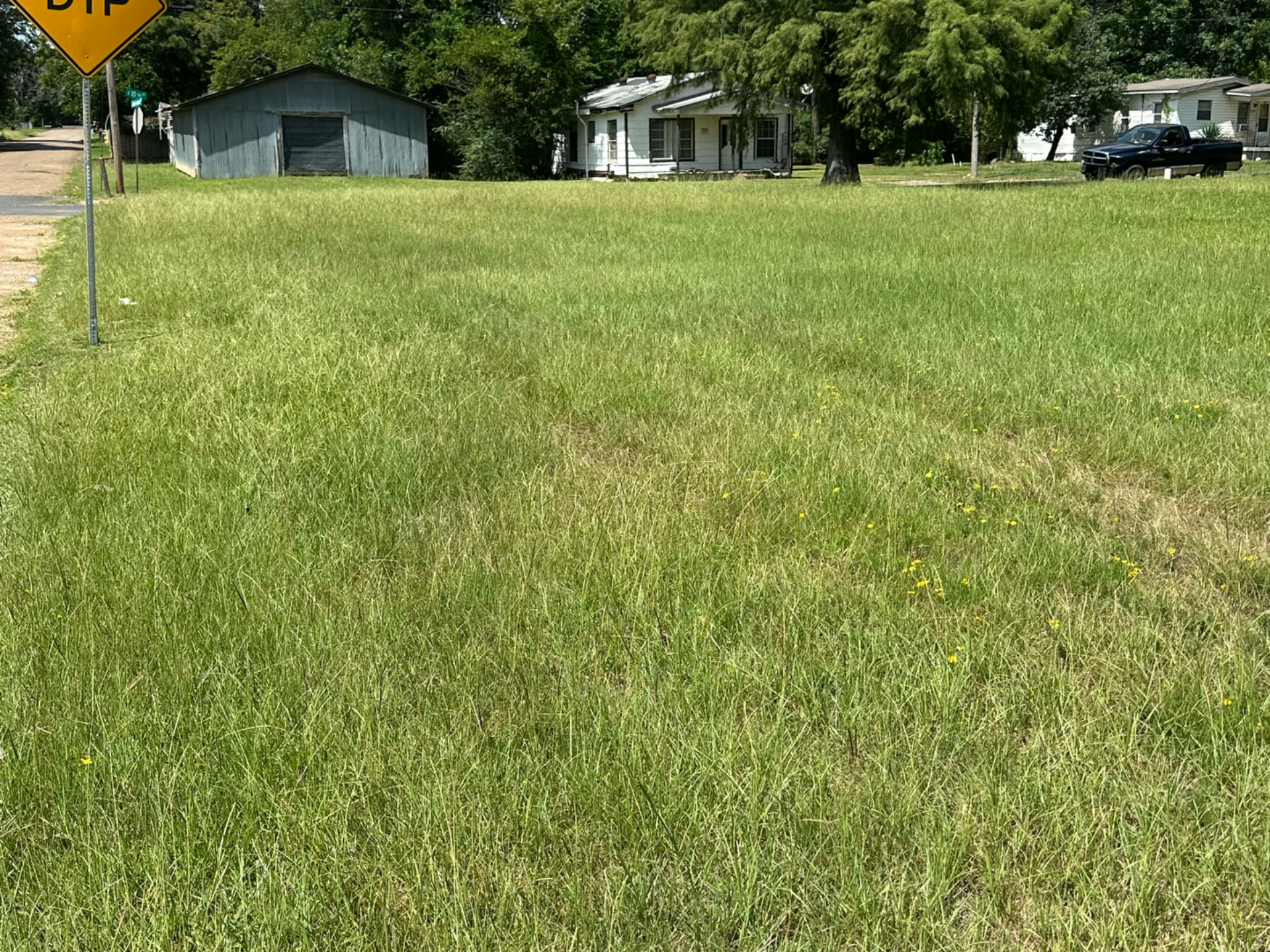 Grassy field with a 