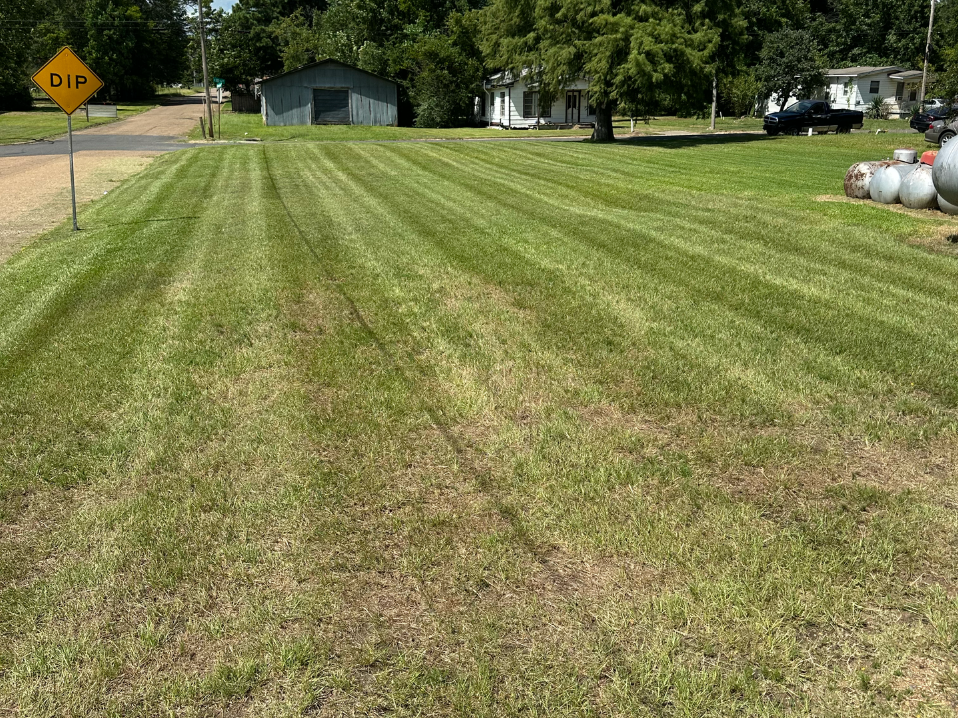 Lawn with mowed stripes; a yellow road sign; and a few buildings in the background.