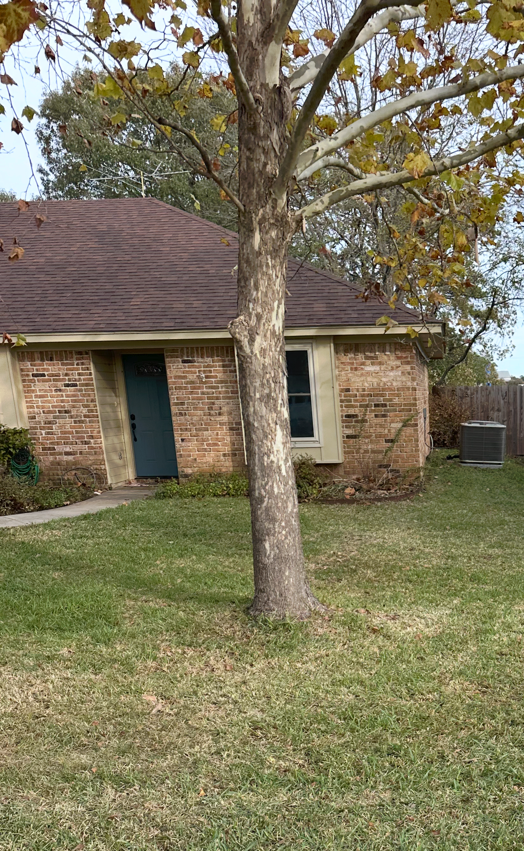 Lawn in front of brick houses, with a tree and wooden fence in the background, on a cloudy day.