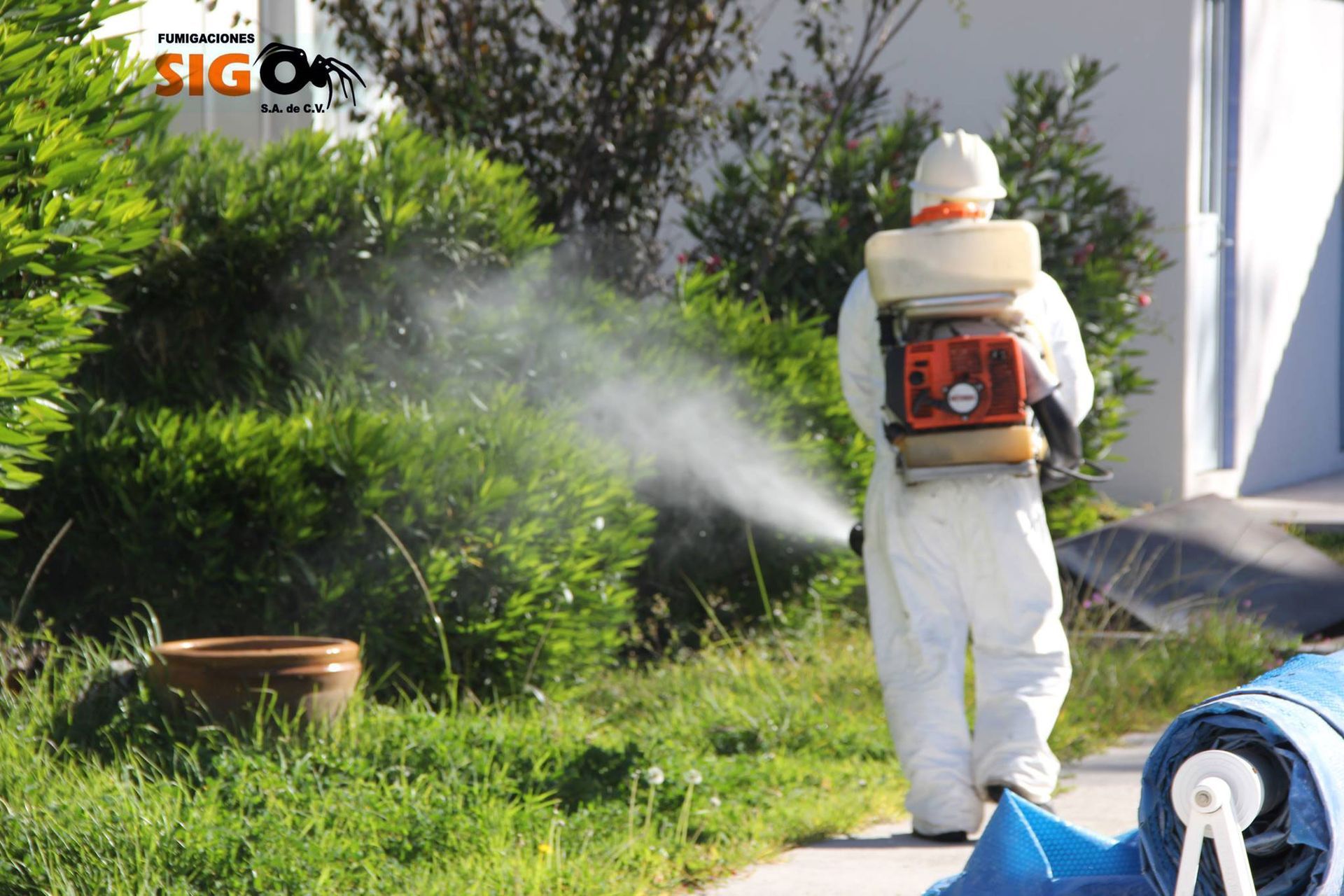 FUMIGACIONES SIGO
